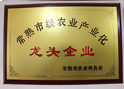 榮譽資質