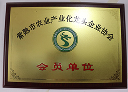 榮譽資質