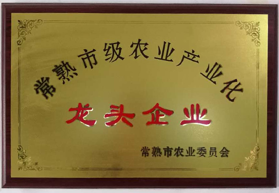 宏新澱粉